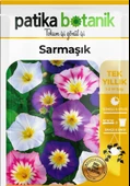 100 Adet Sarmaşık/Gündüz Safası Çiçek Tohumu - 2