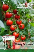 80 Adet Yerli Ata Cherry Domates Tohumu thumbnail 1