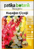 100 Adet Kuşağzı (Aslanağzı) (Antirrhinum Majus) Çiçek Tohumu - 2