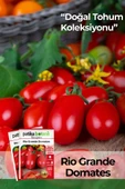200 Adet Rio Grande (Bursa, Salçalık) Domates Tohumu thumbnail 1