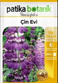 100 Adet Mor-beyaz Çin Evi Çiçek Tohumu (COLLİNSİA HETEROPHYLLA) - 2