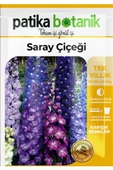 30 Adet Saray Çiçeği Tohumu - 2