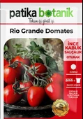 200 Adet Rio (Bursa, Salçalık) Domates Tohumu thumbnail 2