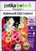 50 Adet Hatim Çiçeği (Alcea Rosea) Çiçek Tohumu - 2