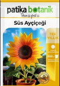 50 Adet Süs Ayçiçeği (Helianthus Debilis) Çiçek Tohumu thumbnail 2