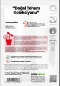 100 Adet Kaliforniya Biber Tohumu - 3