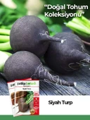 500 Adet Siyah Turp Tohumu thumbnail 1