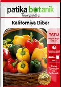 75 Adet Yerli Ata Kaliforniya Biber Tohumu - 2
