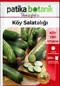120 Adet Yerli Ata Karışık Köy Salatalığı Tohumu thumbnail 2