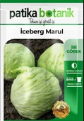 1000 Adet Göbek İceberg Marul Tohumu thumbnail 2