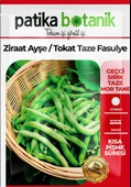 50 Adet Ziraat Ayşe Sırık Fasülye Tohumu - 2