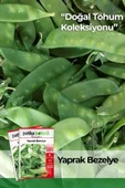 40 Adet Yerli Ata Yaprak Bezelye Tohumu thumbnail 1
