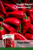 150 Adet Ata Tohumu Yerli Kapya Biber - 1