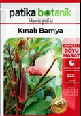 80 Adet Yerli Ata Kınalı Bamya Tohumu - 2