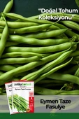 40 Adet Yerli Ata Eymen Oturak Fasülye Tohumu thumbnail 1