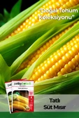 40 Adet Yerli Ata Tatlı Mısır Tohumu (Haşlamalık, Közlemelik) thumbnail 1