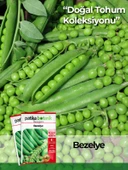 50 Adet Taze Bezelye Tohumu (Utrillo, Araka) thumbnail 1