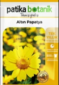 100 Adet Altın Papatya Tohumu (Anthemis Tinctoria Kelwayii) thumbnail 2