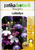 100 Adet Lobelya Çiçek Tohumu (Lobeliaerinus) thumbnail 2