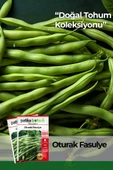 50 Adet Oturak Fasulye Tohumu thumbnail 1