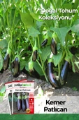 150 Adet Yerli Ata Kemer Patlıcan Tohumu thumbnail 1