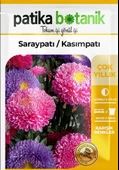 50 Adet Saray Patı (Kasım Patı) Çiçek Tohumu - 2
