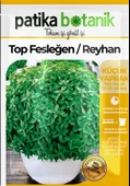 100 Adet Top Fesleğen - Top Reyhan (Ocimum Basilicum) Çiçek Tohumu thumbnail 2