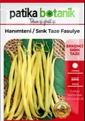 40 Adet Yerli Ata Hanımteni (Turşuluk) Sırık Fasülye Tohumu thumbnail 2