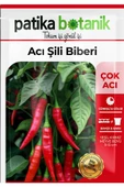 100 Adet Şili Biberi Tohumu - 2