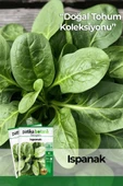 250 Adet Yerli Ispanak Tohumu (Geniş Yaprak) thumbnail 1
