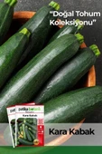 25 Adet Kolsuz Kara Kabak Tohumu thumbnail 1