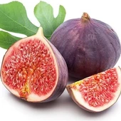 İncir Fidanı DÜRDANE Siyah Bursa Yediveren İnciri Fidanı, Torbada thumbnail 1