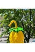 Pazariz Ananas Pipetli Suluk - 2