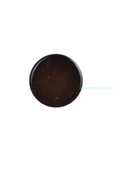 Pazariz Popsocket Telefon Parmak Tutucu- Telefon Yüzük - Rengarenk - Cıvıl Cıvıl - 1