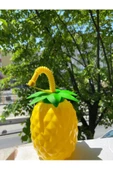 Pazariz Ananas Pipetli Suluk - 2