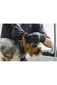 Pazariz Kedi Köpek Şarjlı Tıraş Makinesi Y5 Profesyonel Pet Tıraş Makinesi - 3
