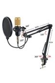 Pazariz Profesyonel Kayıt Stüdyosu Ses Kayıt Harici Canlı Amfili Mikrofon Ses Kartı Mikrofon thumbnail 3