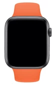 Pazariz Apple Watch Uyumlu 3 4 5 6 7 8 Se 38 40 41mm A Spor Klasik Slikon Kordon Kayış Bileklik thumbnail 2