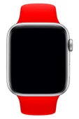 Pazariz Apple Watch Uyumlu 3 4 5 6 7 8 Se Delikli 42 44 45mm Kordon Kayış Bileklik Klasik Silikon thumbnail 3