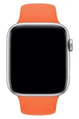 Pazariz Apple Watch Uyumlu 3 4 5 6 7 8 Se Delikli 38 40 41mm Kordon Kayış Bileklik Klasik Silikon - 3