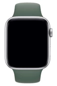 Pazariz Apple Watch Uyumlu 3 4 5 6 7 8 Se Delikli 38 40 41mm Kordon Kayış Bileklik Klasik Silikon thumbnail 3