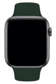 Pazariz Apple Watch Uyumlu Kordon 1 2 3 4 5 6 7 Se Seri 38 Mm/40 Mm/41mm Silikon Kordon Kayış thumbnail 2