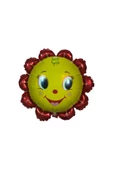 Pazariz Çiçek Figürlü Folyo - Folyo Balon - 18 Inç - 1