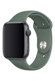 Pazariz Apple Watch Uyumlu3 4 5 6 7 8 Se 38 40 41mm Kordon Kayış Klasik Silikon thumbnail 2