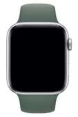 Pazariz Apple Watch Uyumlu3 4 5 6 7 8 Se 38 40 41mm Kordon Kayış Klasik Silikon thumbnail 3