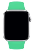 Pazariz Apple Watch Uyumlu2 3 4 5 6 7 Se 38 40 41mm Kalite Kordon Kayış Klasik Kaliteli Silikon thumbnail 3