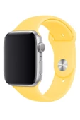 Pazariz Apple Watch Uyumlu3 4 5 6 7 8 Se 38 40 41mm Kalite Kordon Kayış Klasik Kaliteli Silikon thumbnail 2