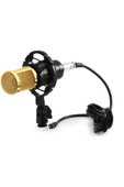 Pazariz Music D.j M800 Usb Stüdyo Youtuber Twitch Kayıt Mikrofonu Stand - 1