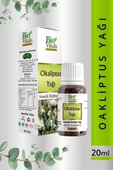 Pazariz Sinüzit Için Okaliptüs Yağı 20 ml - 1