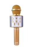 Pazariz C-792 Bt/tf/usb/fm Rose Gold Karaoke Mikrofon thumbnail 3